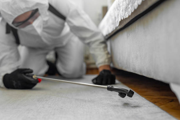 Professional Pest Control technician working in Scanlon, MN