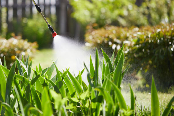 24/7 Emergency Pest Control experts in Scanlon, MN